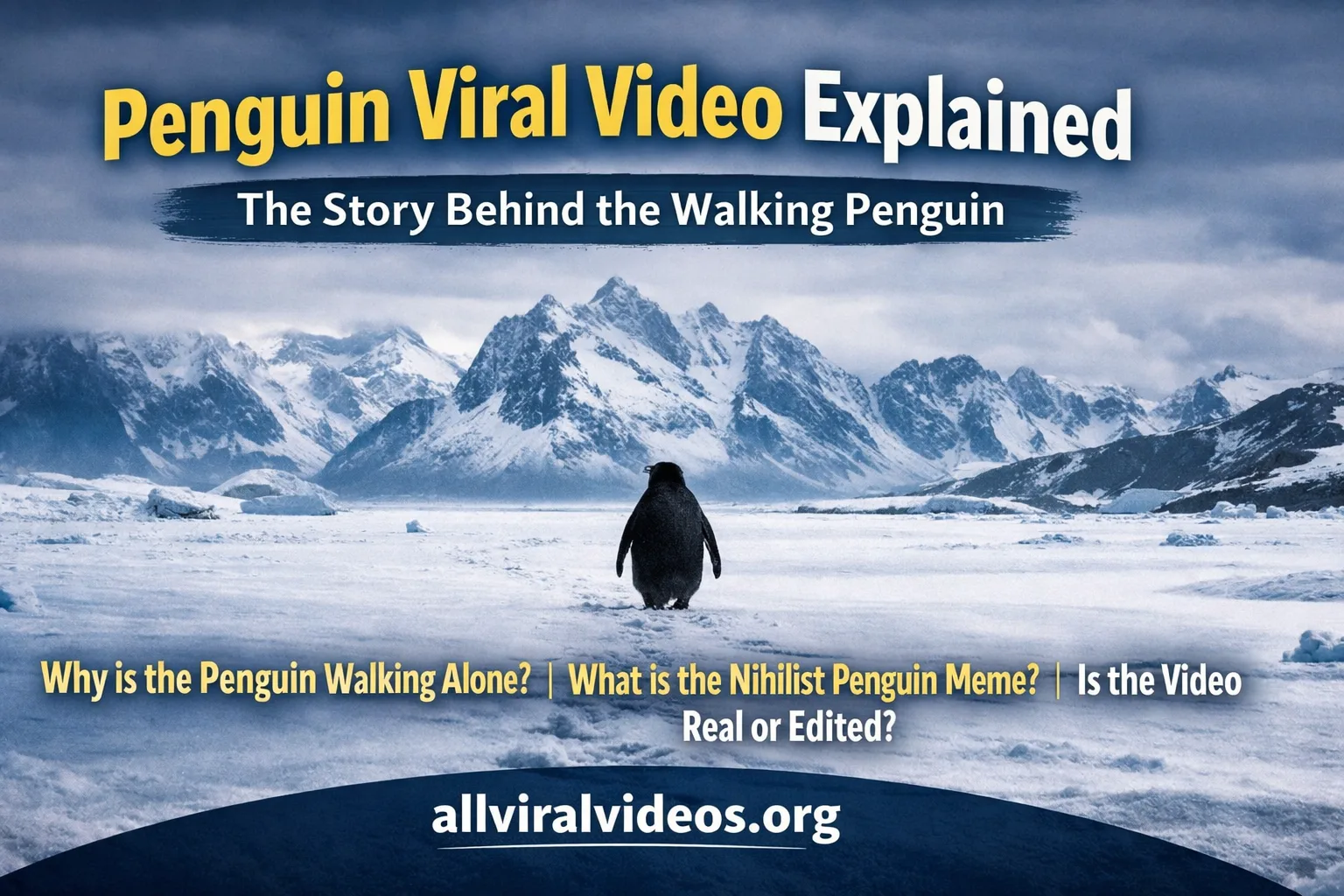 Penguin viral video banner showing a lone penguin walking toward snowy mountains with text ‘Penguin Viral Video Explained’ and website allviralvideos.org